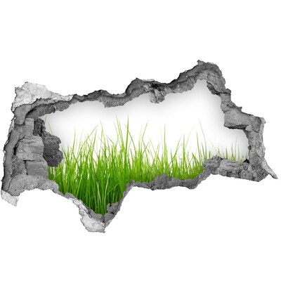 Sticker trou dans le mur Une prairie verdoyante derrière le mur