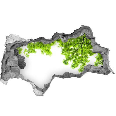 Sticker mural effet trou 3d Une oasis de verdure derrière le mur