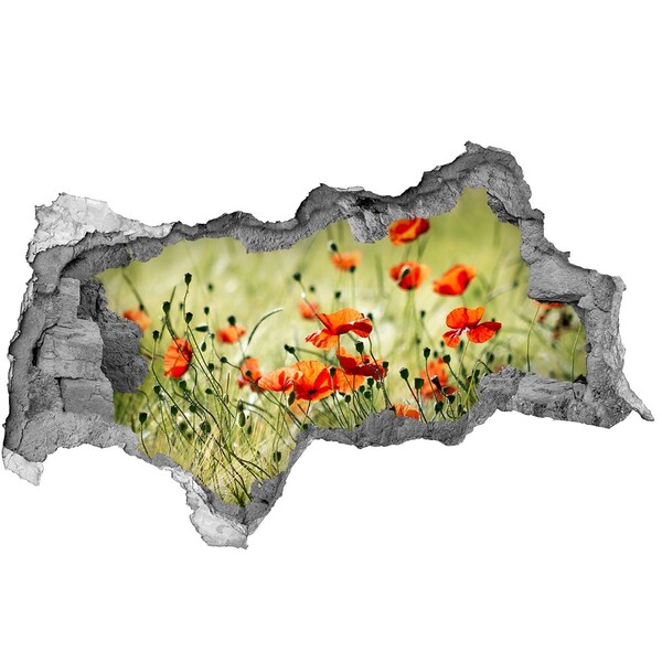 Sticker mural effet trou 3d Un paradis floral parmi les coquelicots