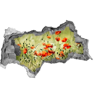 Sticker mural effet trou 3d Un paradis floral parmi les coquelicots