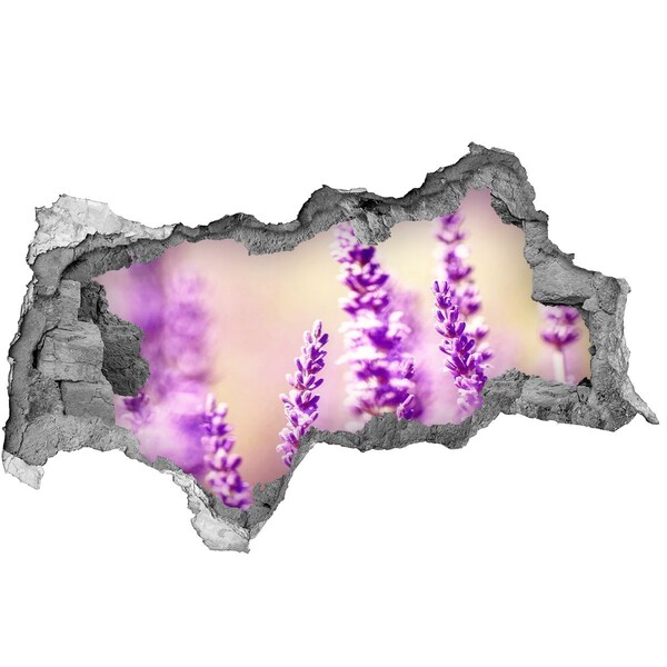 Autocollant mural trou Des fleurs de lavande dans un mur brisé
