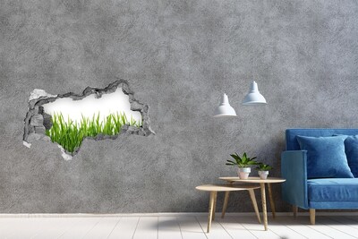 Autocollant mural trou Prairie verte derrière le mur