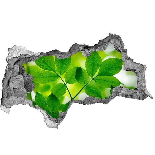 Sticker mural effet trou 3d Une oasis de verdure en béton