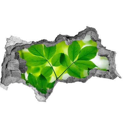 Sticker mural effet trou 3d Une oasis de verdure en béton