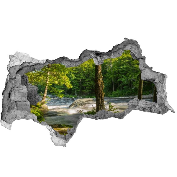 Sticker mural effet trou 3d Forêt verdoyante au bord de la rivière