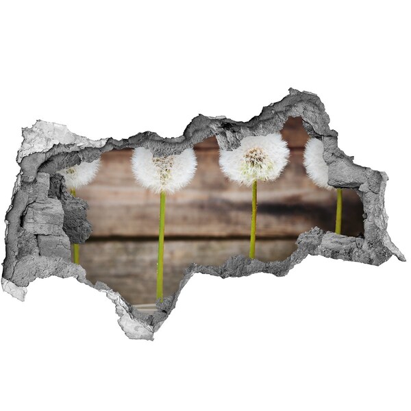 Autocollant à effet 3d trou Fleurs de pissenlit dans les ruines