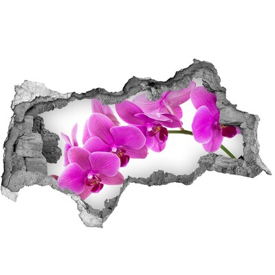 Sticker mural effet trou 3d Orchidée rose béton