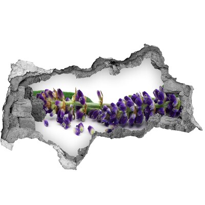Autocollant à effet 3d trou Fleur de lavande à travers un trou dans le mur