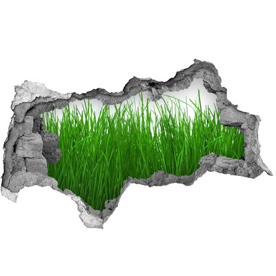 Autocollant mural trou Prairie verte à travers un trou dans le mur