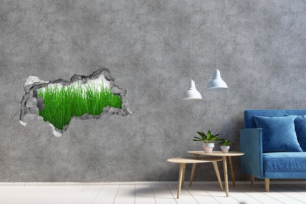 Autocollant mural trou Prairie verte à travers un trou dans le mur