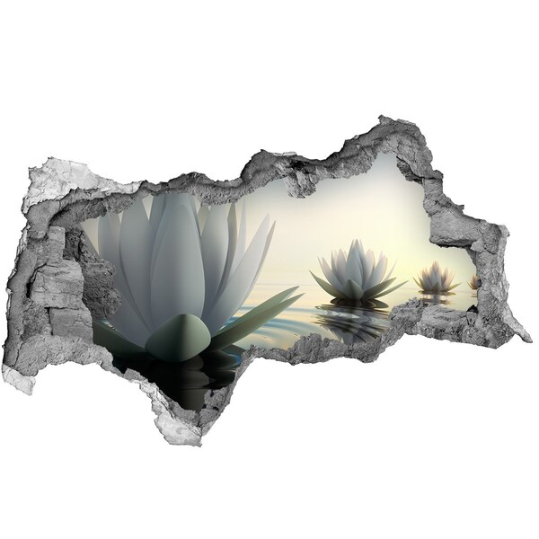Sticker mural effet trou 3d Fleurs de lotus sur l'eau