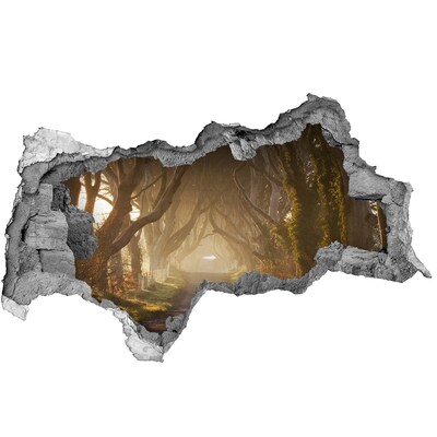 Autocollant à effet 3d trou Un chemin parmi les arbres