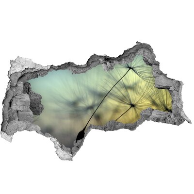 Autocollant à effet 3d trou Graines de souffleur béton