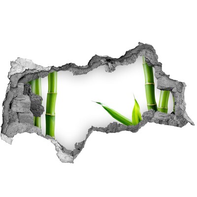 Autocollant mural trou Une plante verte à travers un trou dans le mur