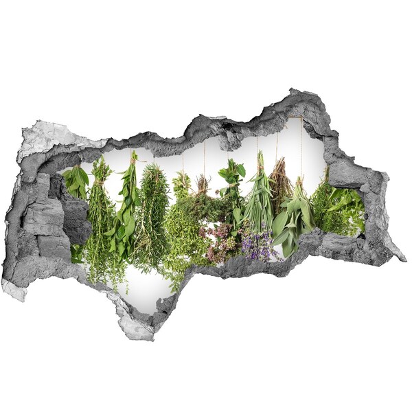 Sticker mural effet trou 3d Jardin d'herbes aromatiques dans le mur