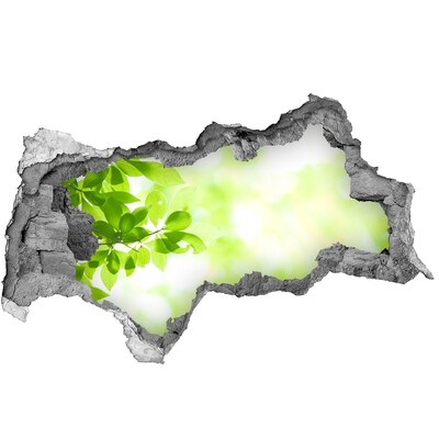 Sticker mural effet trou 3d Un paradis verdoyant derrière le mur