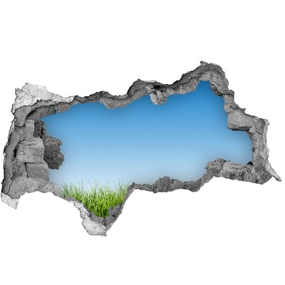 Sticker mural effet trou 3d prairie verte sous un ciel bleu