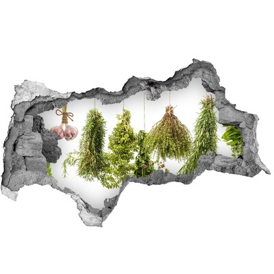 Sticker trou dans le mur jardin d'herbes aromatiques en ruines