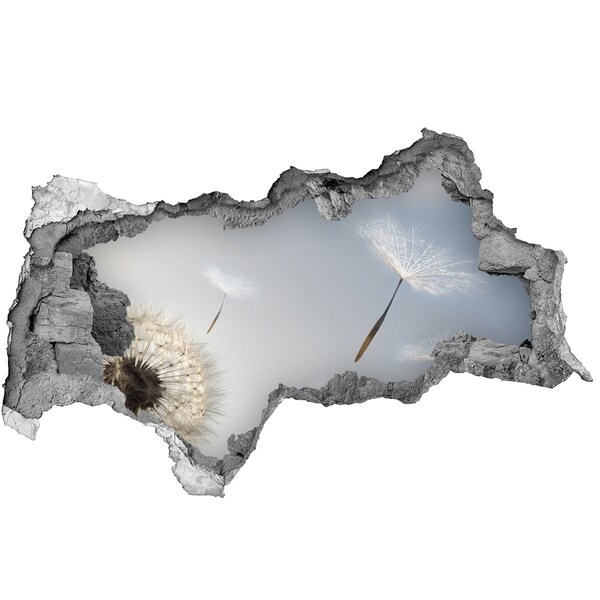 Autocollant mural trou Des pissenlits dans les nuages