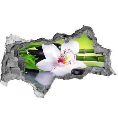 Autocollant à effet 3d trou Une oasis florale de paix