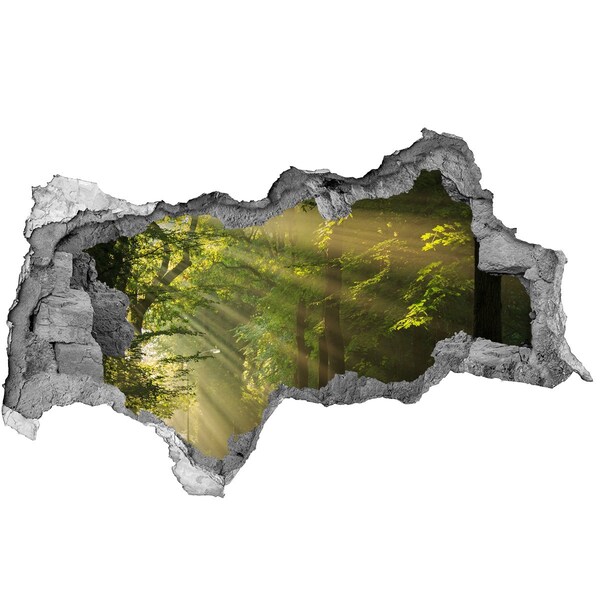 Sticker mural effet trou 3d Oasis de lumière en forêt