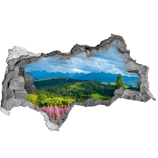 Sticker mural effet trou 3d Paysage de montagne avec des fleurs