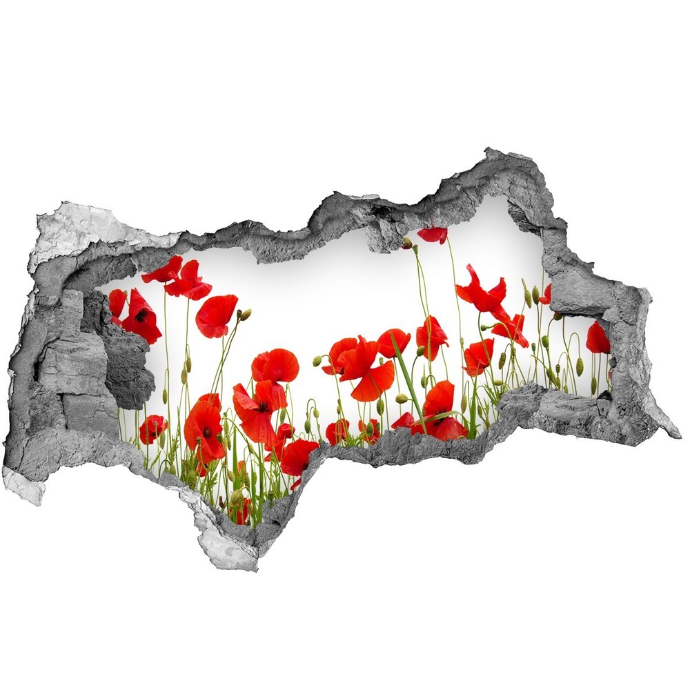 Autocollant à effet 3d trou Coquelicots béton