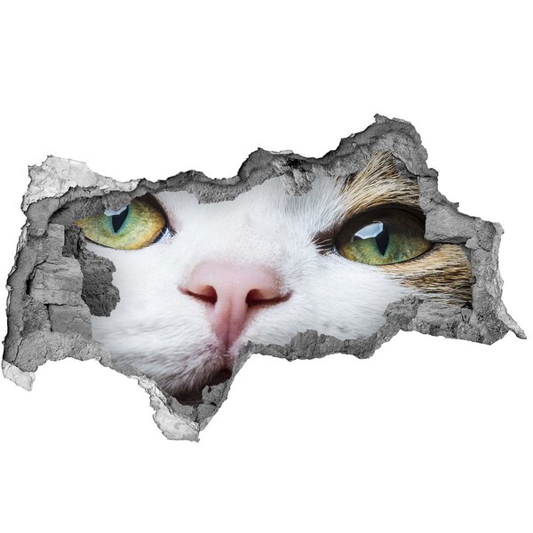 Autocollant à effet 3d trou Le chat dans le mur