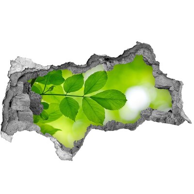 Sticker trou dans le mur Une oasis de verdure en béton