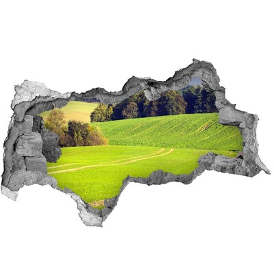 Sticker mural effet trou 3d Prairie verte derrière le mur