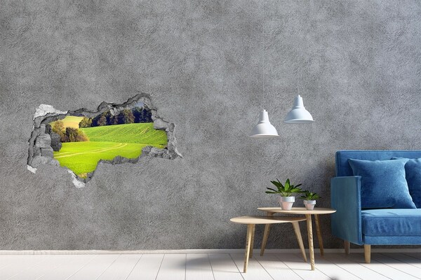 Sticker mural effet trou 3d Route herbeuse béton