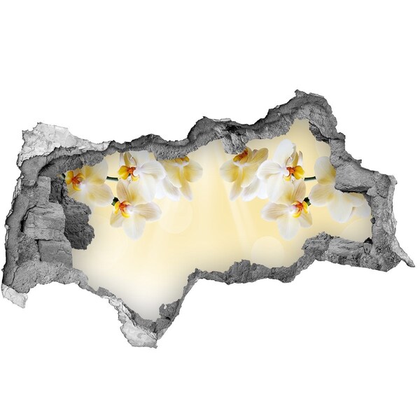 Sticker trou dans le mur Une oasis florale derrière le mur