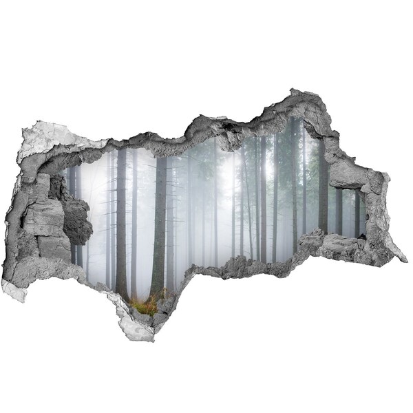 Sticker mural effet trou 3d Forêt brumeuse