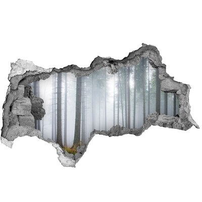 Sticker mural effet trou 3d Forêt brumeuse