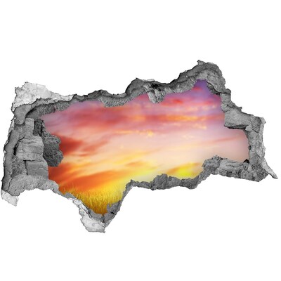 Sticker mural effet trou 3d Coucher de soleil sur la prairie