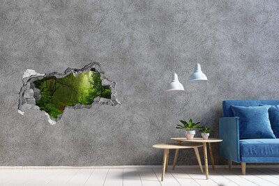 Autocollant à effet 3d trou Forêt verdoyante avec un chemin forestier