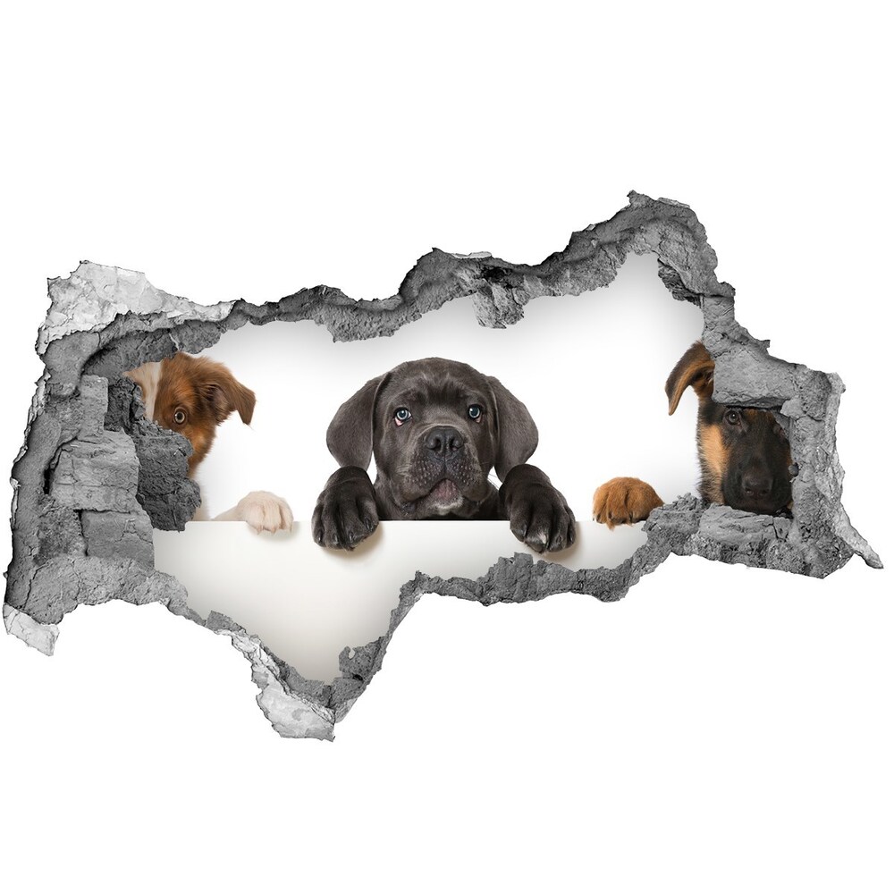 Autocollant à effet 3d trou Trois chiots béton