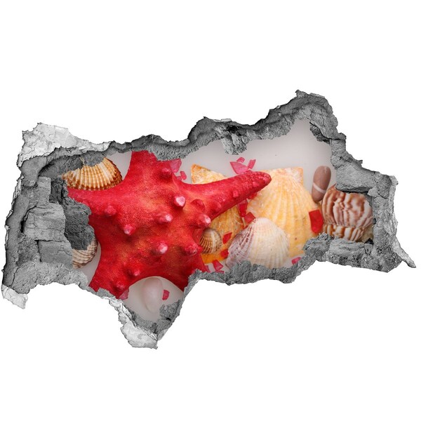 Sticker trou dans le mur Monde sous-marin avec des coquillages