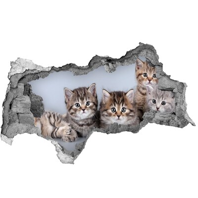 Sticker trou dans le mur Cinq chats béton