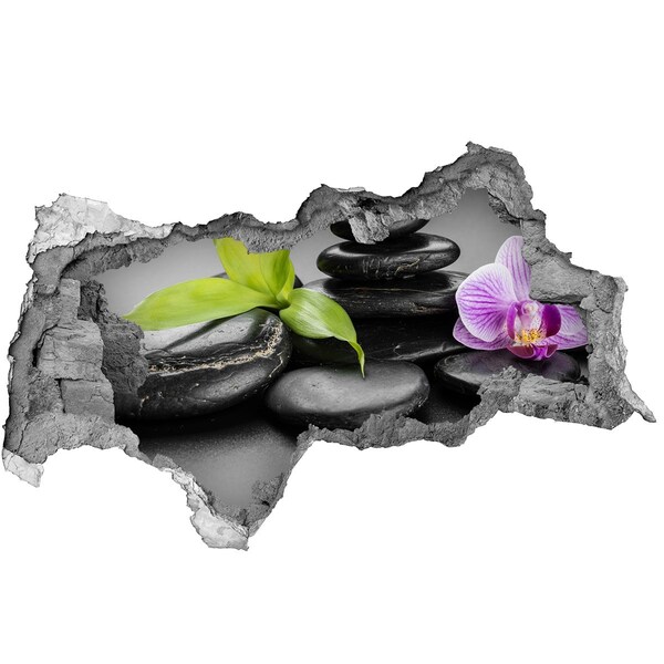 Sticker mural effet trou 3d Une vue apaisante avec des pierres et des plantes