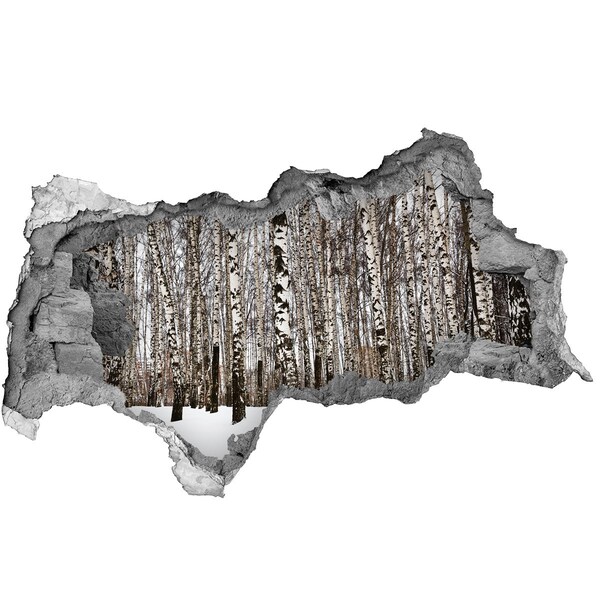 Sticker mural effet trou 3d forêt de bouleaux en hiver