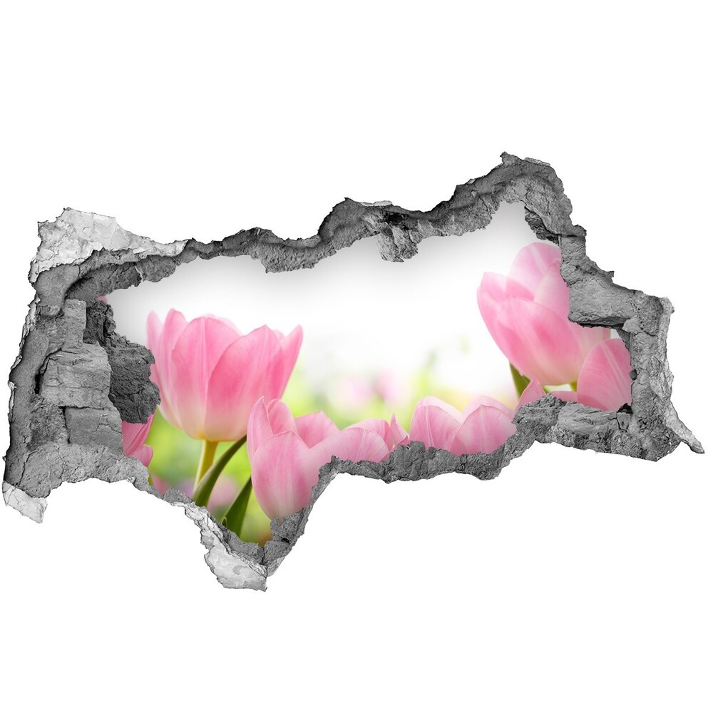 Autocollant à effet 3d trou Tulipes roses béton