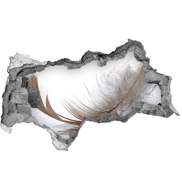 Sticker mural effet trou 3d Des plumes délicates dans l'eau