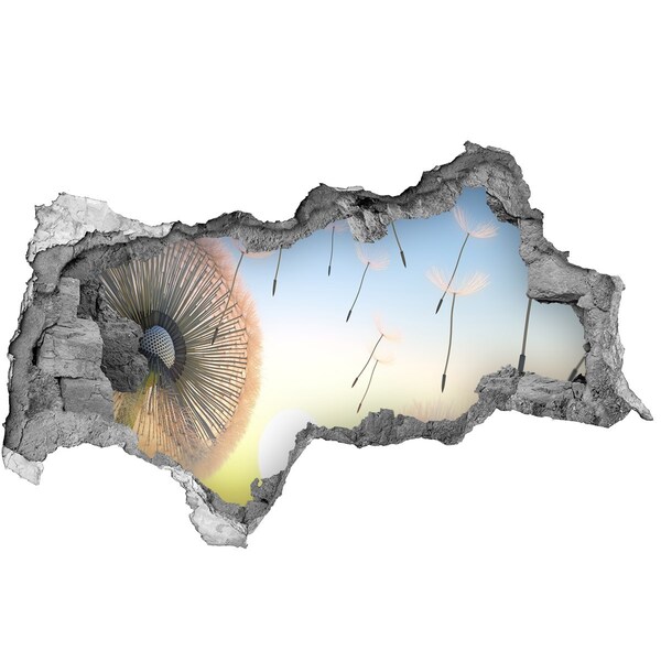 Sticker mural effet trou 3d Pissenlits sur fond de coucher de soleil