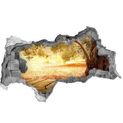 Sticker mural effet trou 3d Jardin au soleil