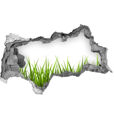 Sticker mural effet trou 3d Une prairie verdoyante derrière le mur