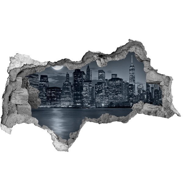 Autocollant mural trou Vue de New York