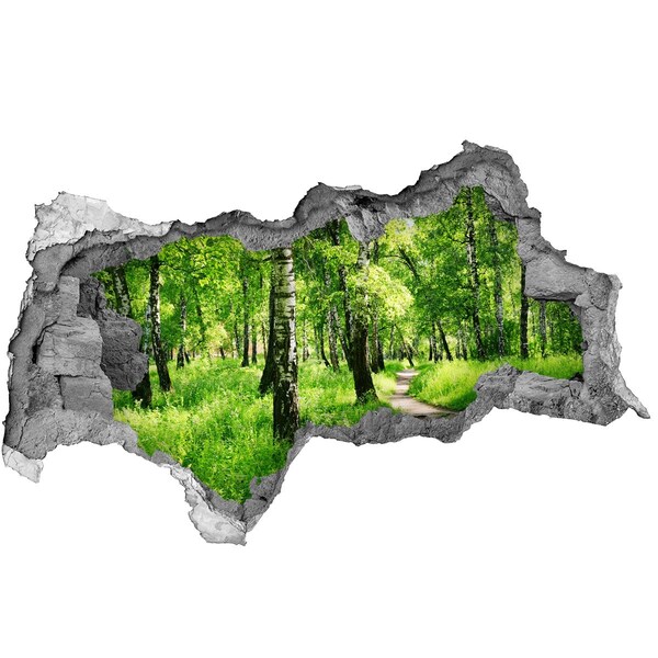 Autocollant à effet 3d trou Forêt de bouleaux béton