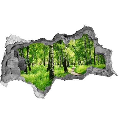 Autocollant à effet 3d trou Forêt de bouleaux béton