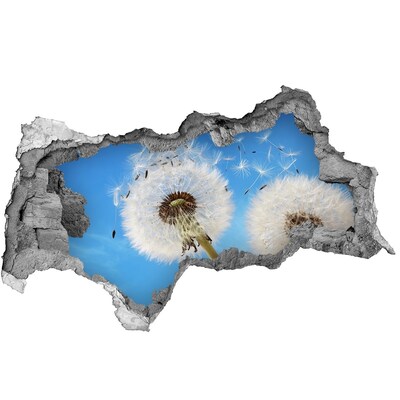 Autocollant à effet 3d trou Des pissenlits dans le ciel bleu